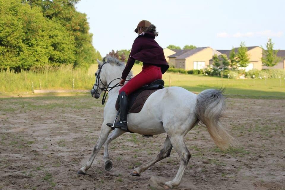 DSP Baxter billede 2