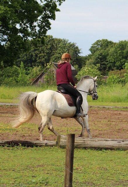 DSP Baxter billede 4