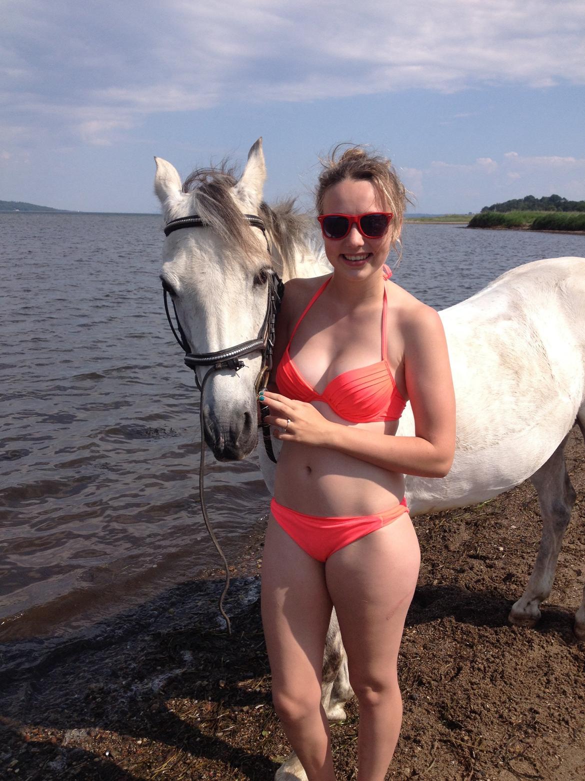 DSP Baxter billede 8