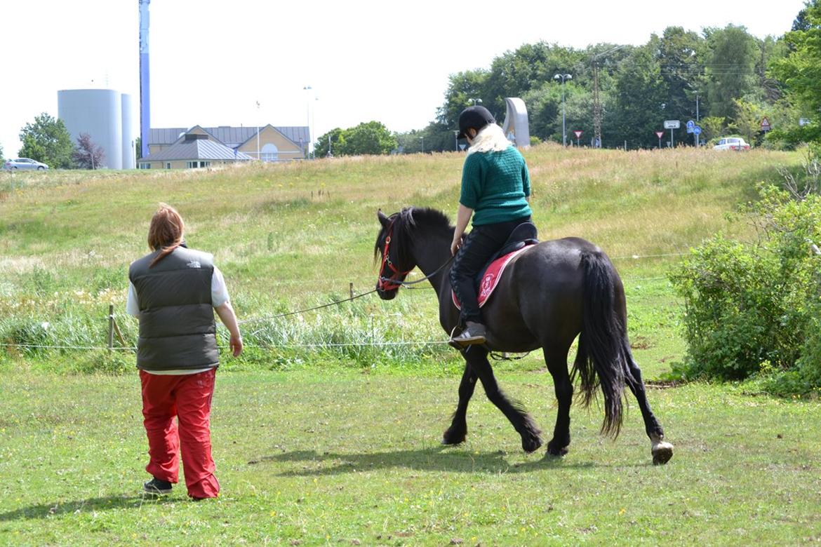 Barockpferd Clarissa - Første gang vi rider på hende. billede 20