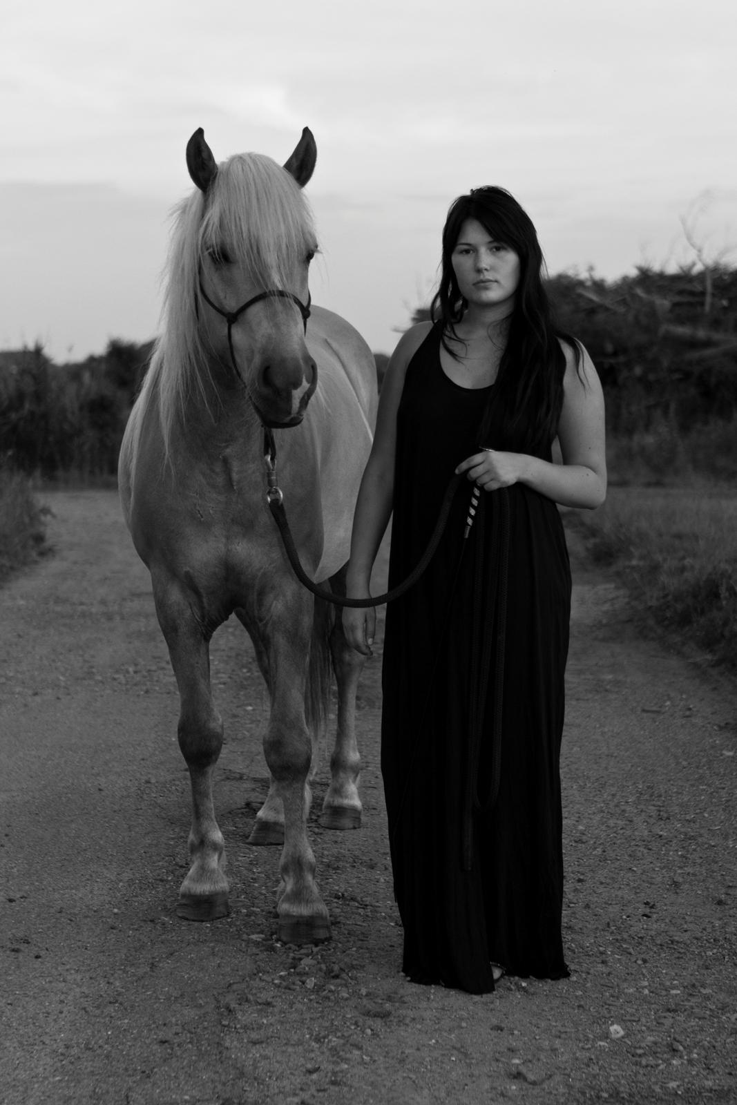 Tyroler Haflinger Walando - Smukkeste hest... billede 4