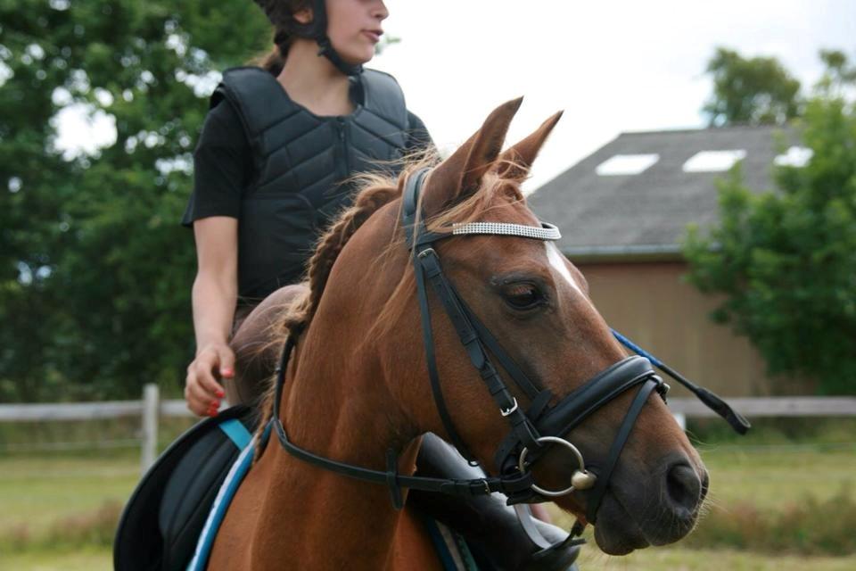 DSP Nakupenda. billede 6