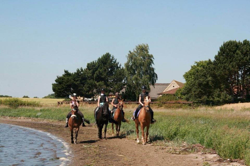 DSP Nakupenda. - På stranden.:) billede 7