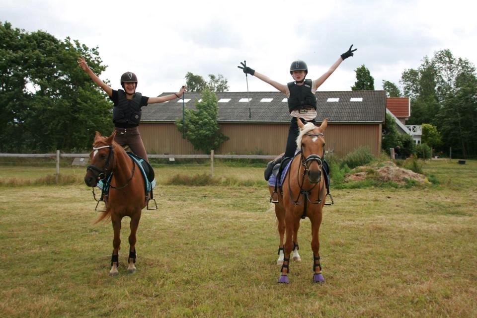 DSP Nakupenda. - På ridelejren til springning:) billede 10
