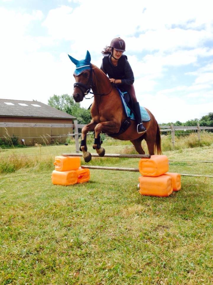 DSP Nakupenda. - Spring.:D billede 12