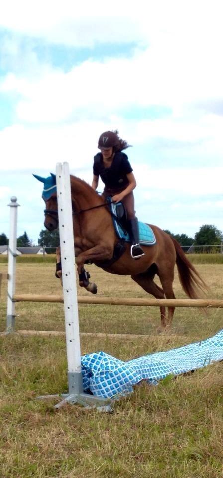 DSP Nakupenda. billede 15