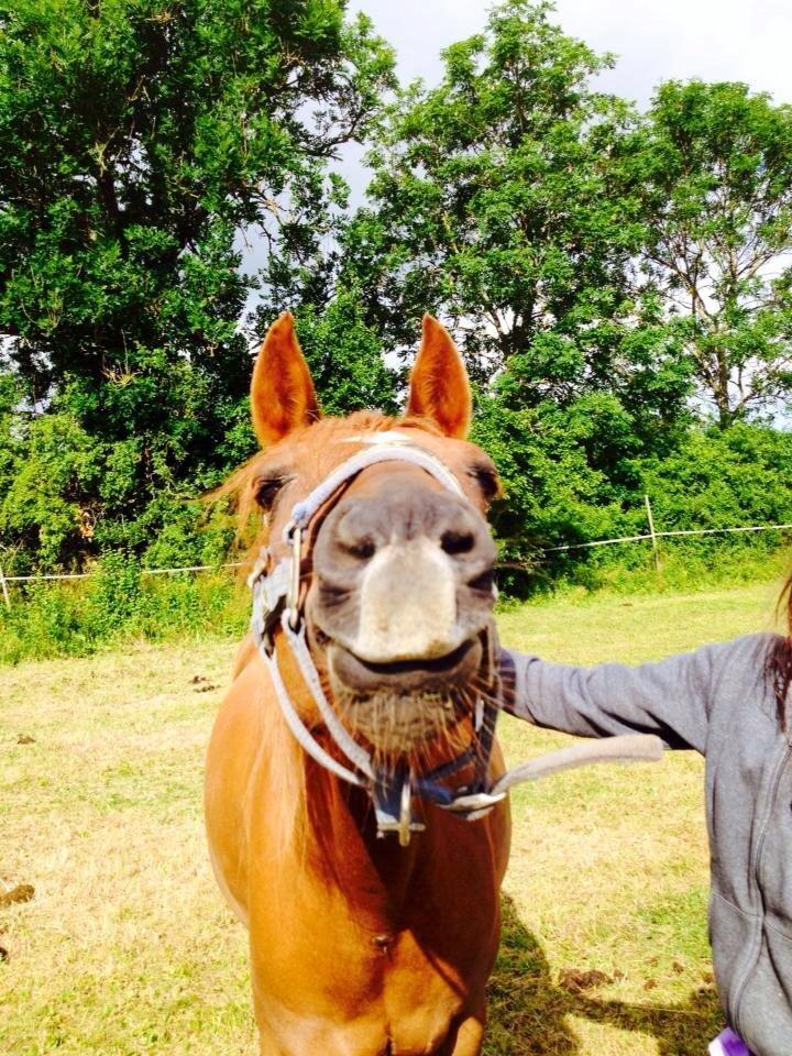 DSP Nakupenda. - Tror Penda er en lama.:) billede 16