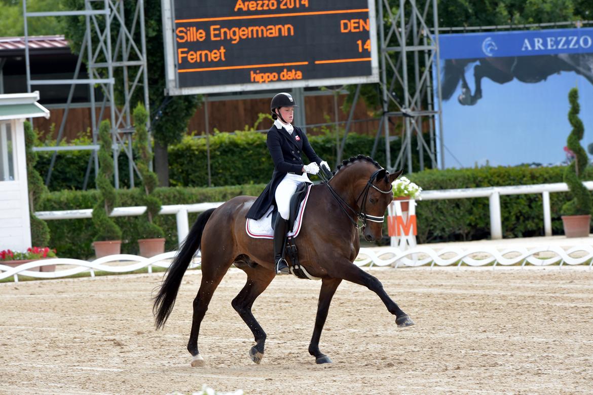 Westfaler Fernet D - A hest - Europamesterskaberne for juniorer i Italien 2014 billede 22