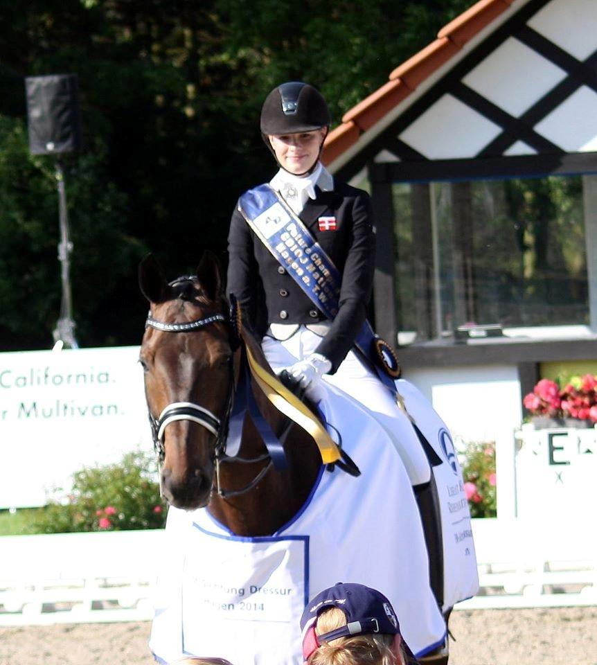 Westfaler Fernet D - A hest - Vinder af CDIO Nations cup i Hagen, Tyskland 2014 billede 33