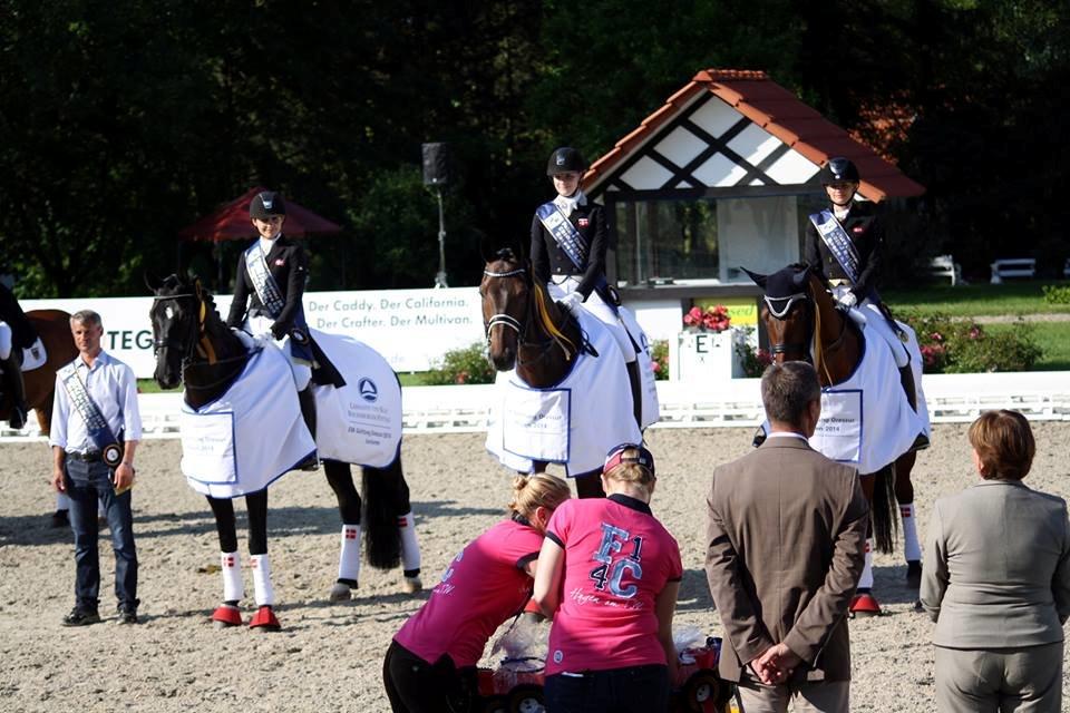 Westfaler Fernet D - A hest - Vinder af CDIO Nations cup i Hagen a.tw. Tyskland billede 34