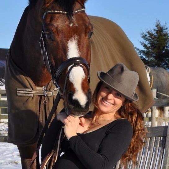 Dansk Varmblod Angels Envy billede 15