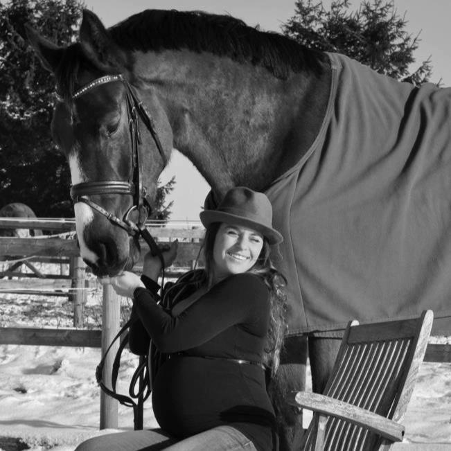 Dansk Varmblod Angels Envy billede 16