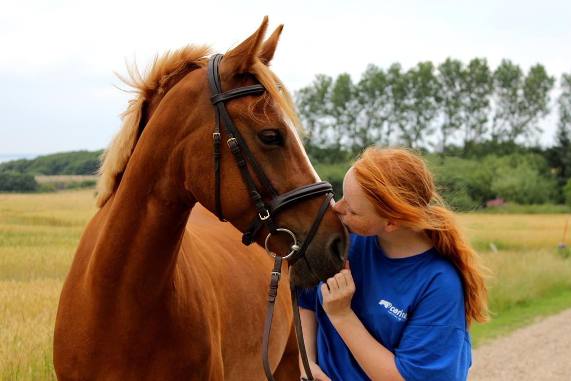 DSP Nørretelling's Ballou - Sidste dag som part <3 - Foto: Laura billede 1