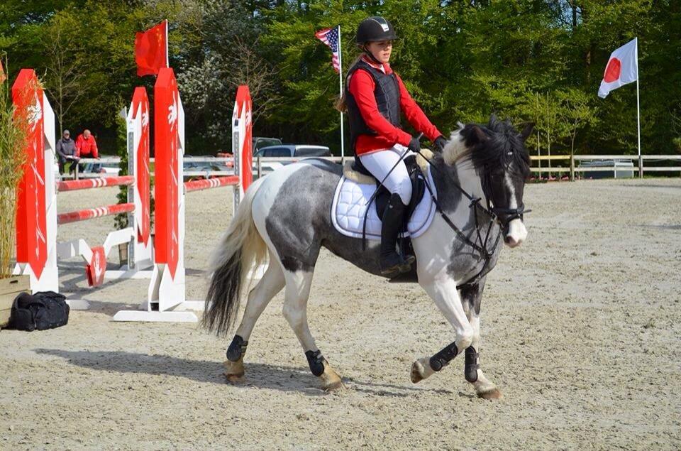 Anden særlig race Clements Stardust |*MY STAR*| - Baltic cup 2014 billede 10