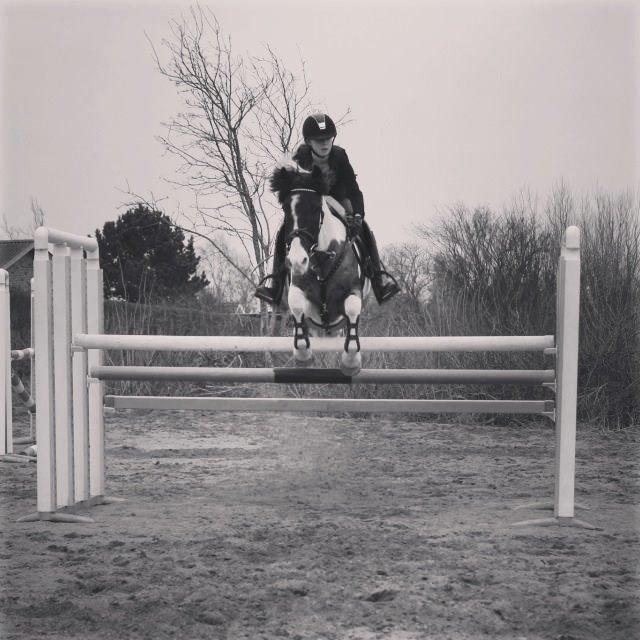 Anden særlig race Clements Stardust |*MY STAR*| billede 13