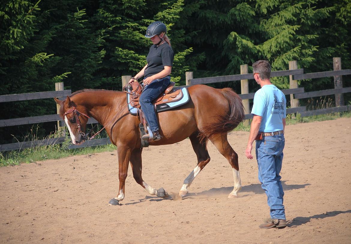 Quarter Special made by Poca billede 14