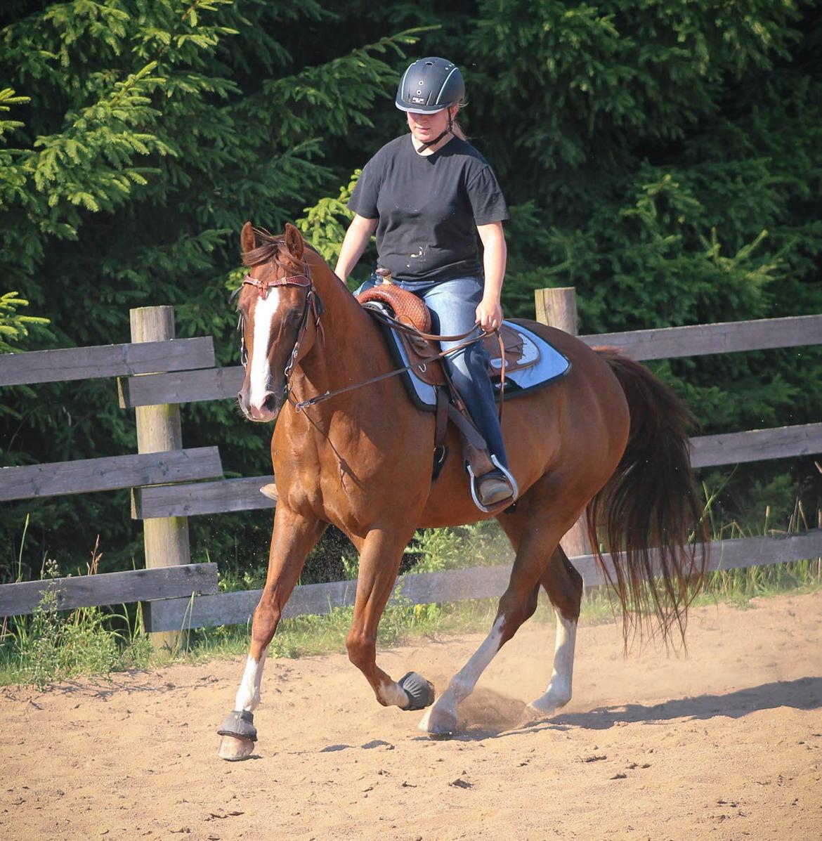 Quarter Special made by Poca billede 16