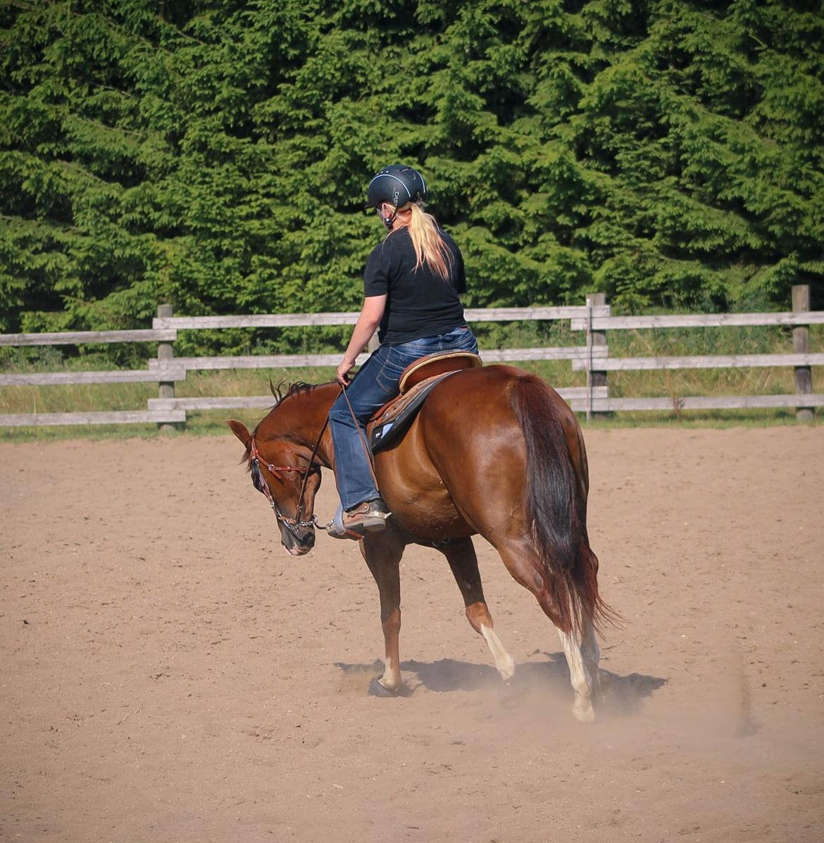 Quarter Special made by Poca billede 17