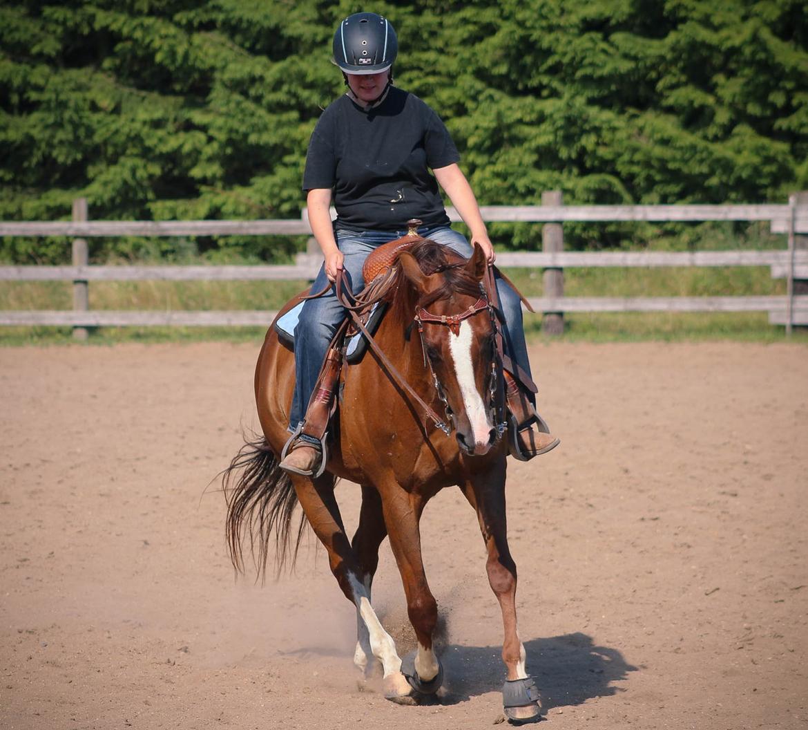 Quarter Special made by Poca billede 15