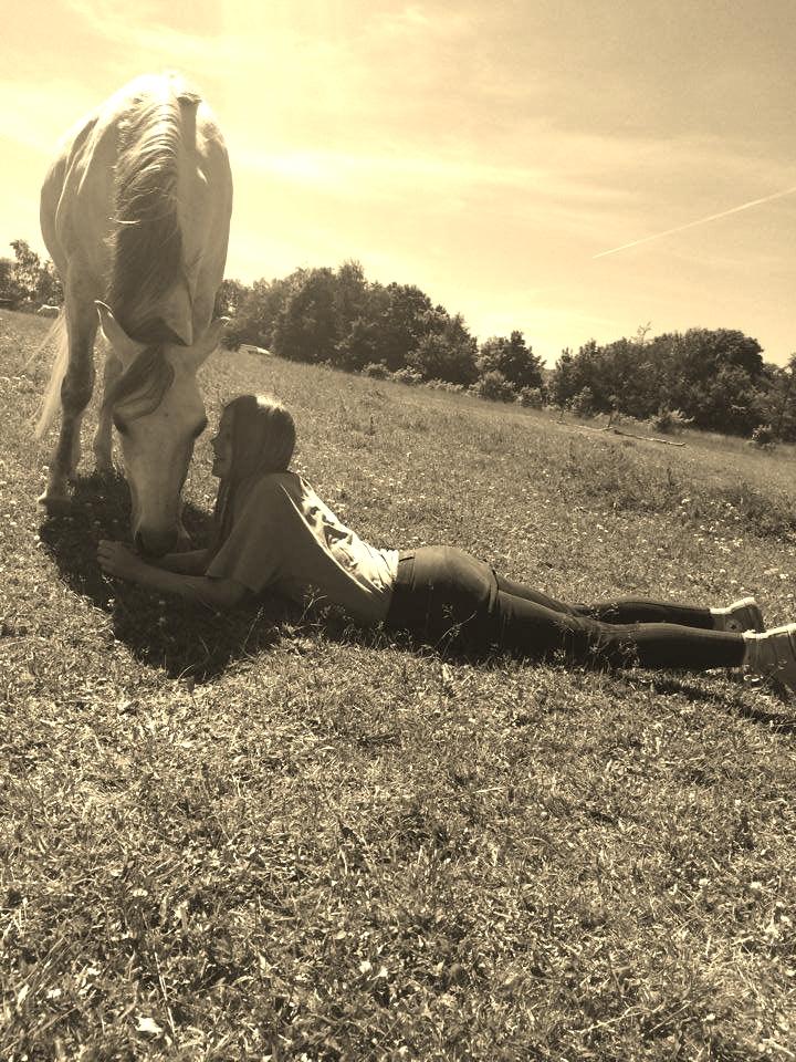 Shagya Araber (SH) Emely billede 20