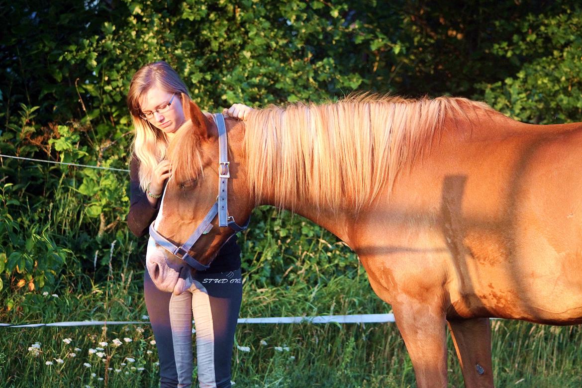 Anden særlig race Chance billede 3