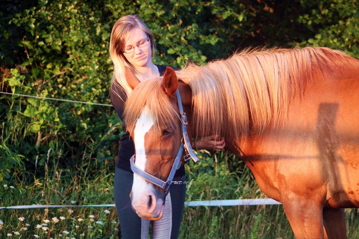 Anden særlig race Chance billede 10