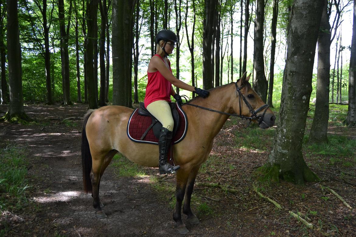 Anden særlig race Nelly *Rider billede 12