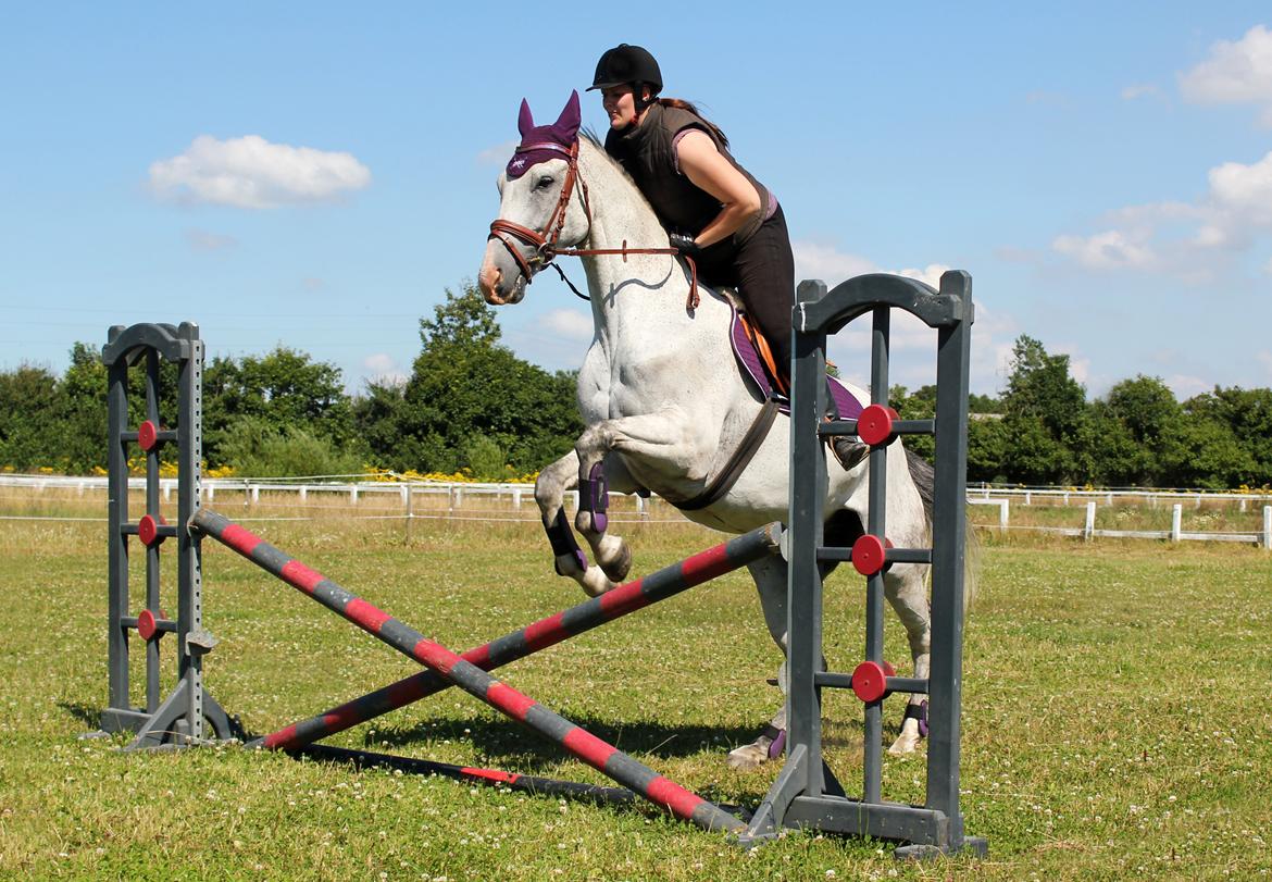 Holstener Fruerholm's Adonis *For Evigt Elsket <3* - Træning på Østergarden :) billede 36