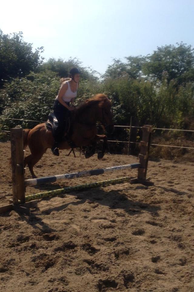 Islænder stjarna<3 - D.18/7 :) billede 13