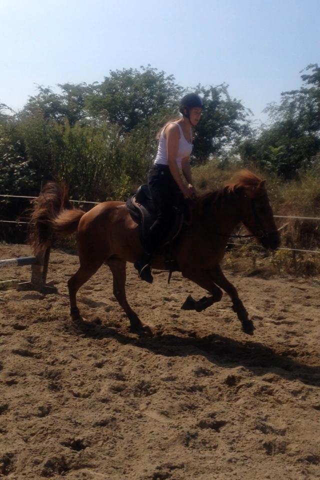 Islænder stjarna<3 billede 14