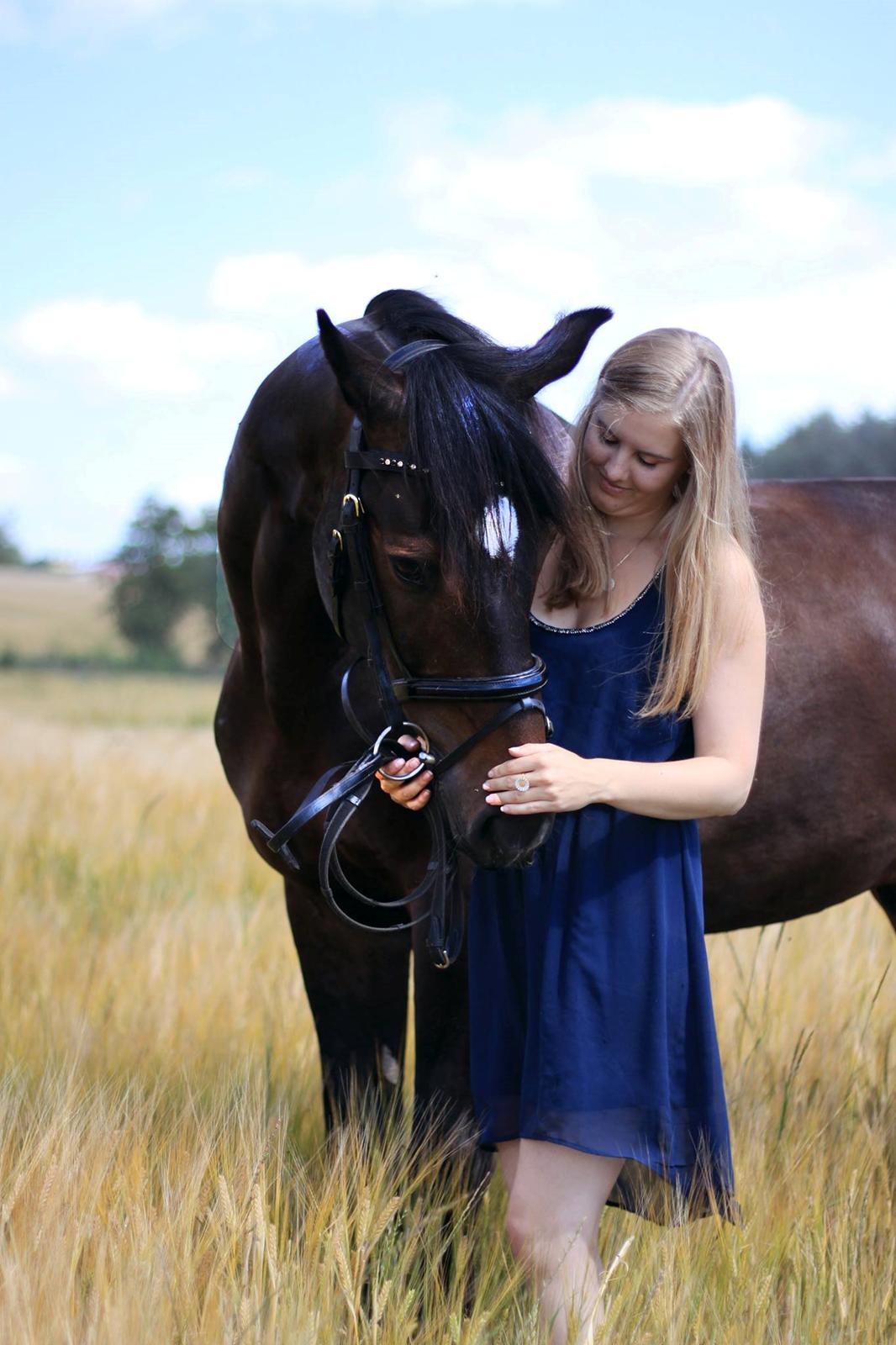 Dansk Varmblod Mosegårdens Diamando <3 - Sommer 2014 billede 4