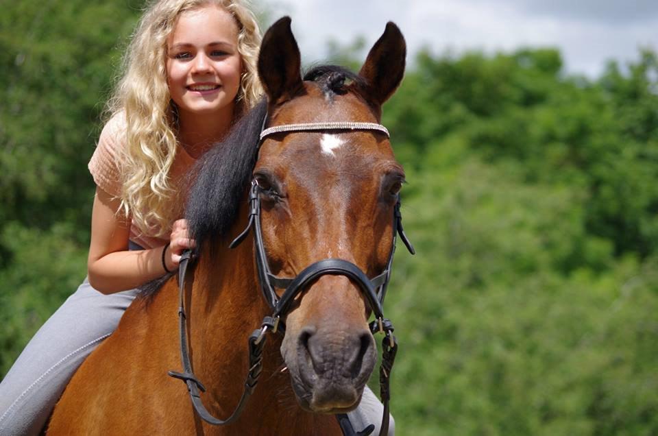 Anden særlig race Diango (miss) billede 1