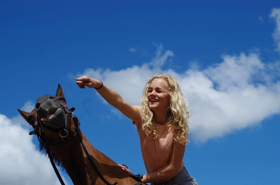 Anden særlig race Diango (miss) billede 8