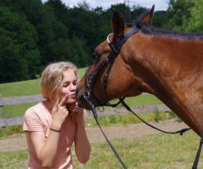 Anden særlig race Diango (miss) billede 4