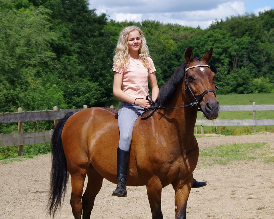 Anden særlig race Diango (miss) billede 9