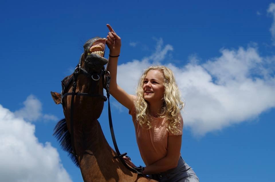 Anden særlig race Diango (miss) billede 5