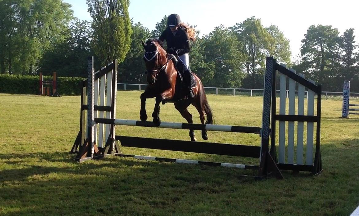 DSP Nikita billede 28