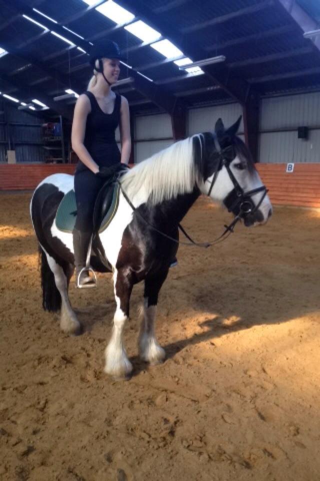 Irish Cob Diesel billede 7