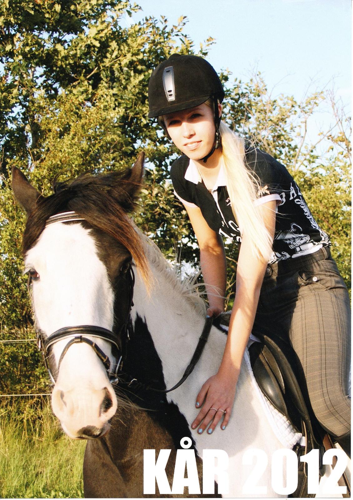 Irish Cob Diesel billede 1