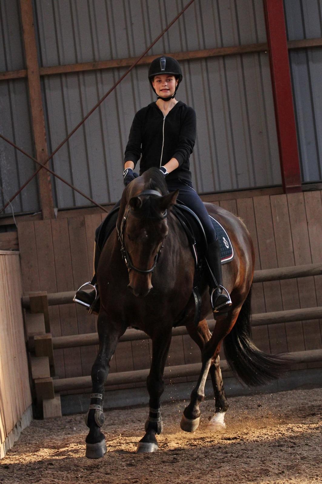 Trakehner Izette af Langbrogård billede 11