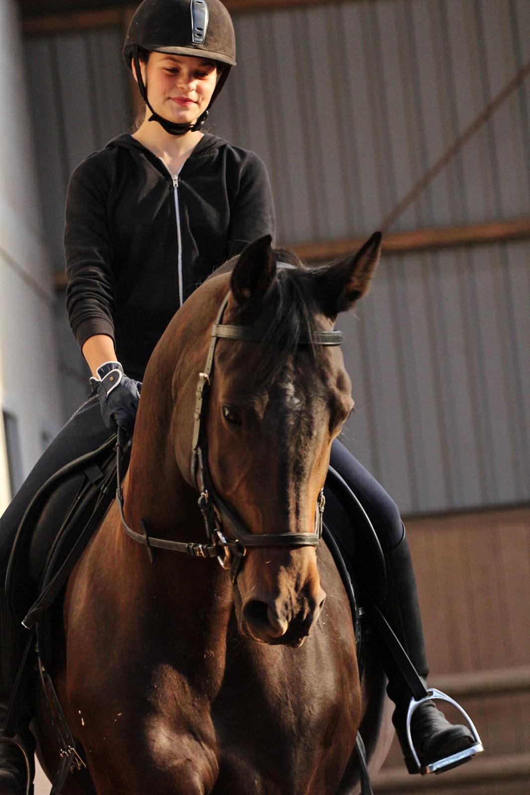 Trakehner Izette af Langbrogård billede 15