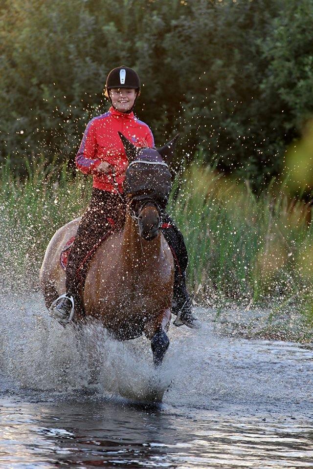 Anden særlig race Mon Chéri billede 3