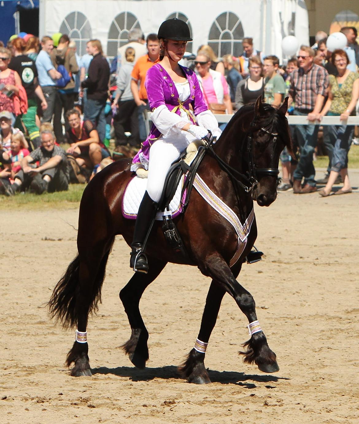 Frieser Maico Von Rosenlund - Show - Landsskuet i Herning 2014 billede 18