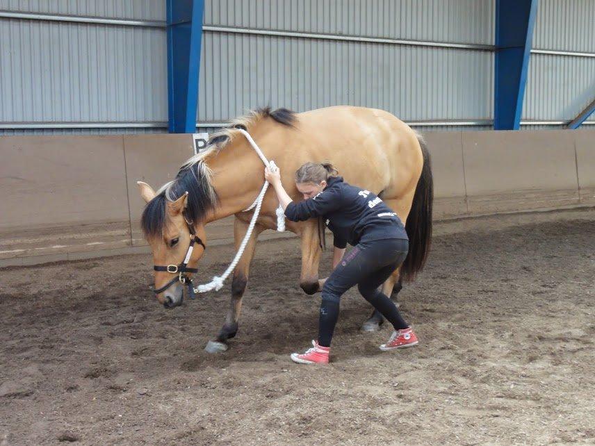 Anden særlig race Mon Chéri billede 4