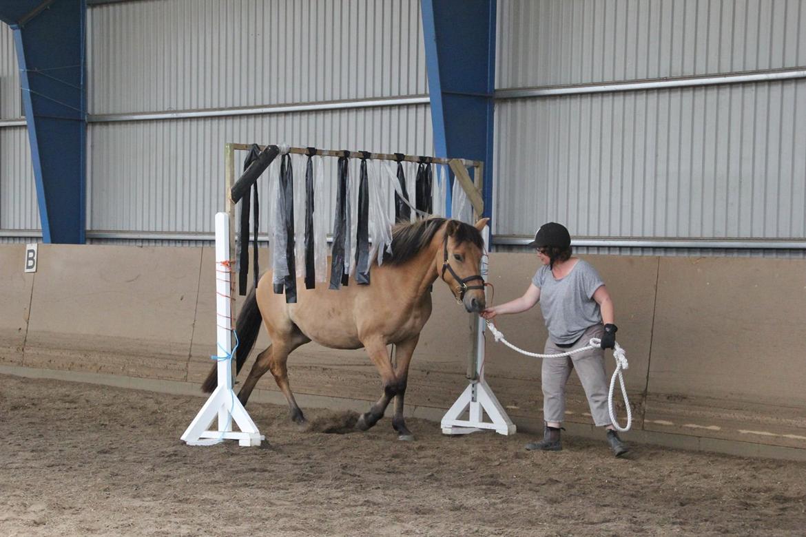 Anden særlig race Mon Chéri billede 19