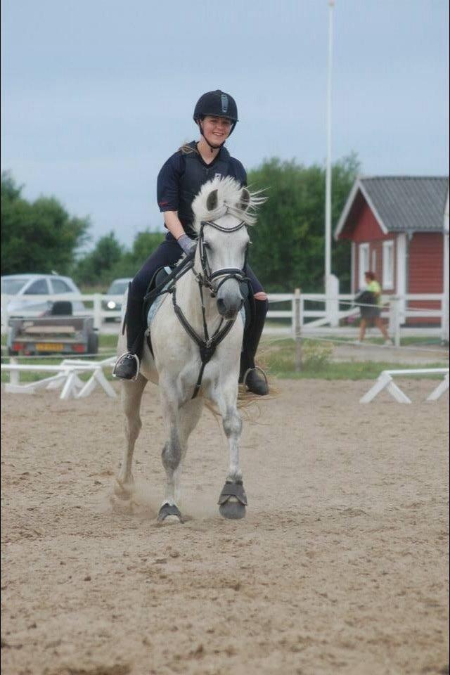 Connemara Roney billede 1