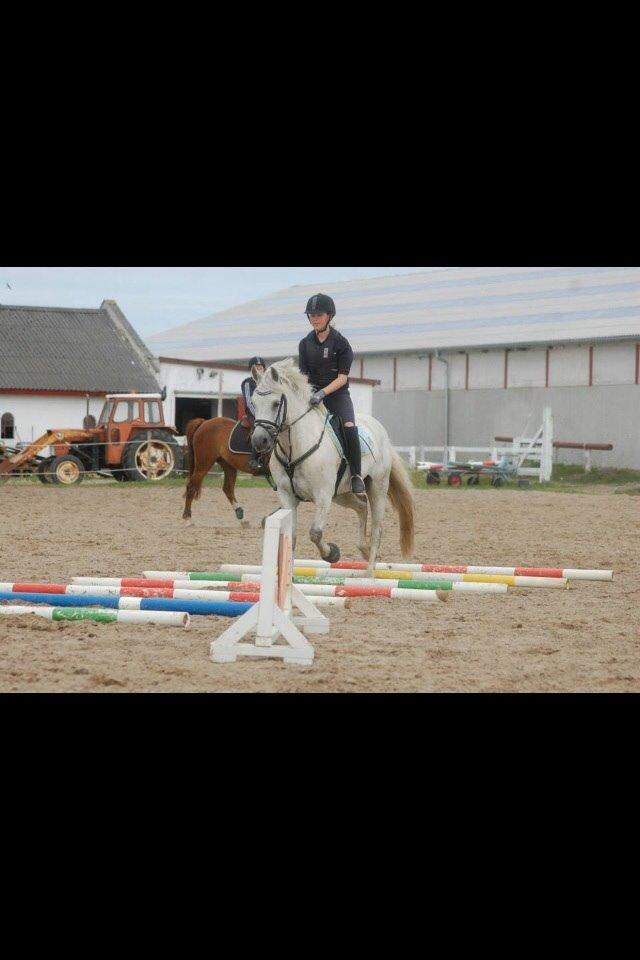 Connemara Roney billede 26