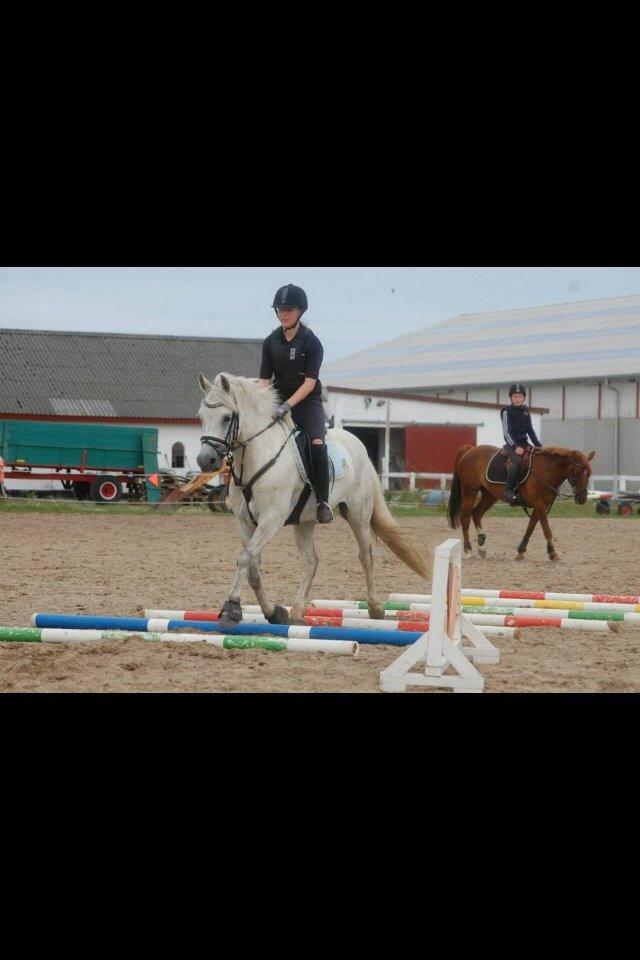 Connemara Roney billede 25