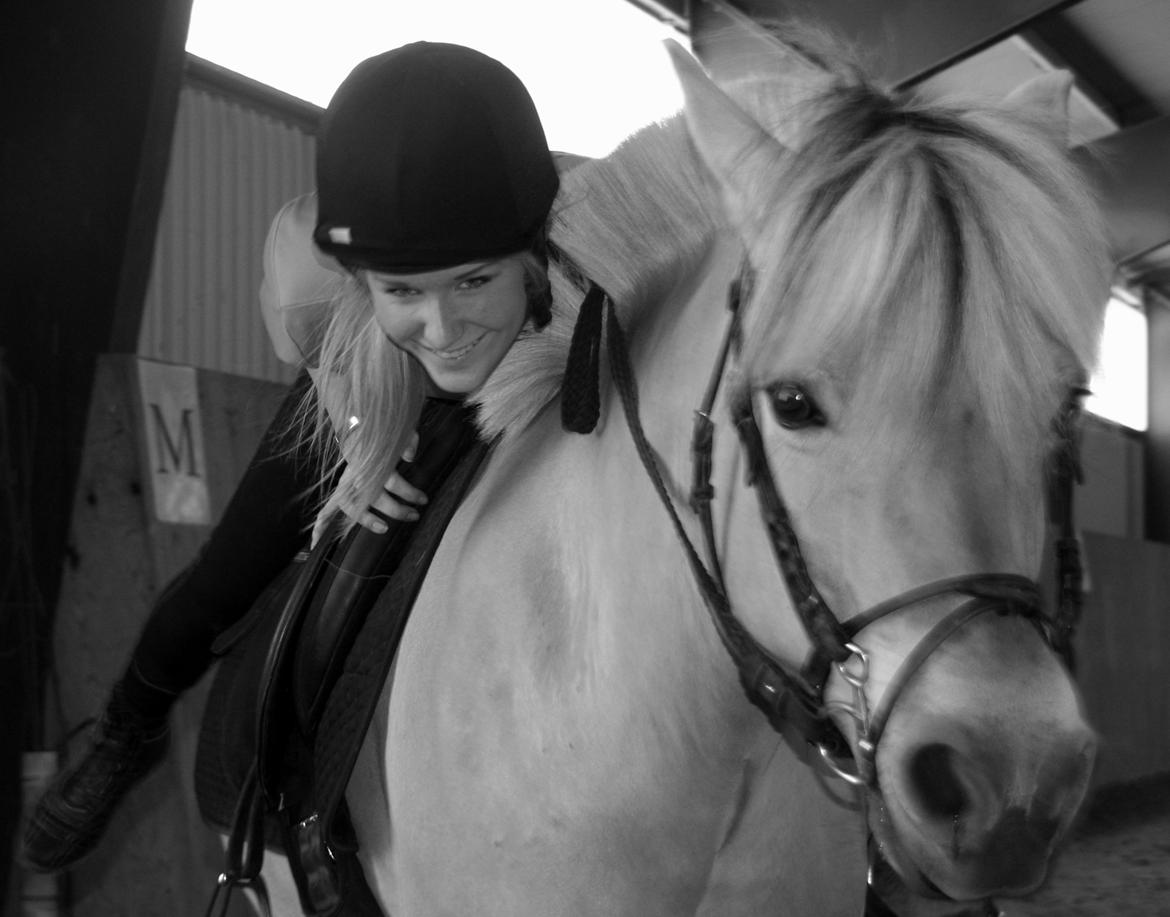 Fjordhest Ronja *Runte Trunte* - Min anden gang jeg red på Ronja og var tæt på at falde af da jeg lige fik retted mig op og veninden skal jo lige tag et billed <3 billede 4