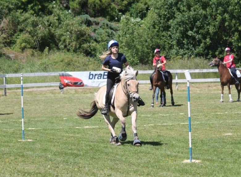 Fjordhest Ronja *Runte Trunte* - Vores første stævne noglesinde <3 En god tur til Sverige og en fantastisk pony <3 billede 1